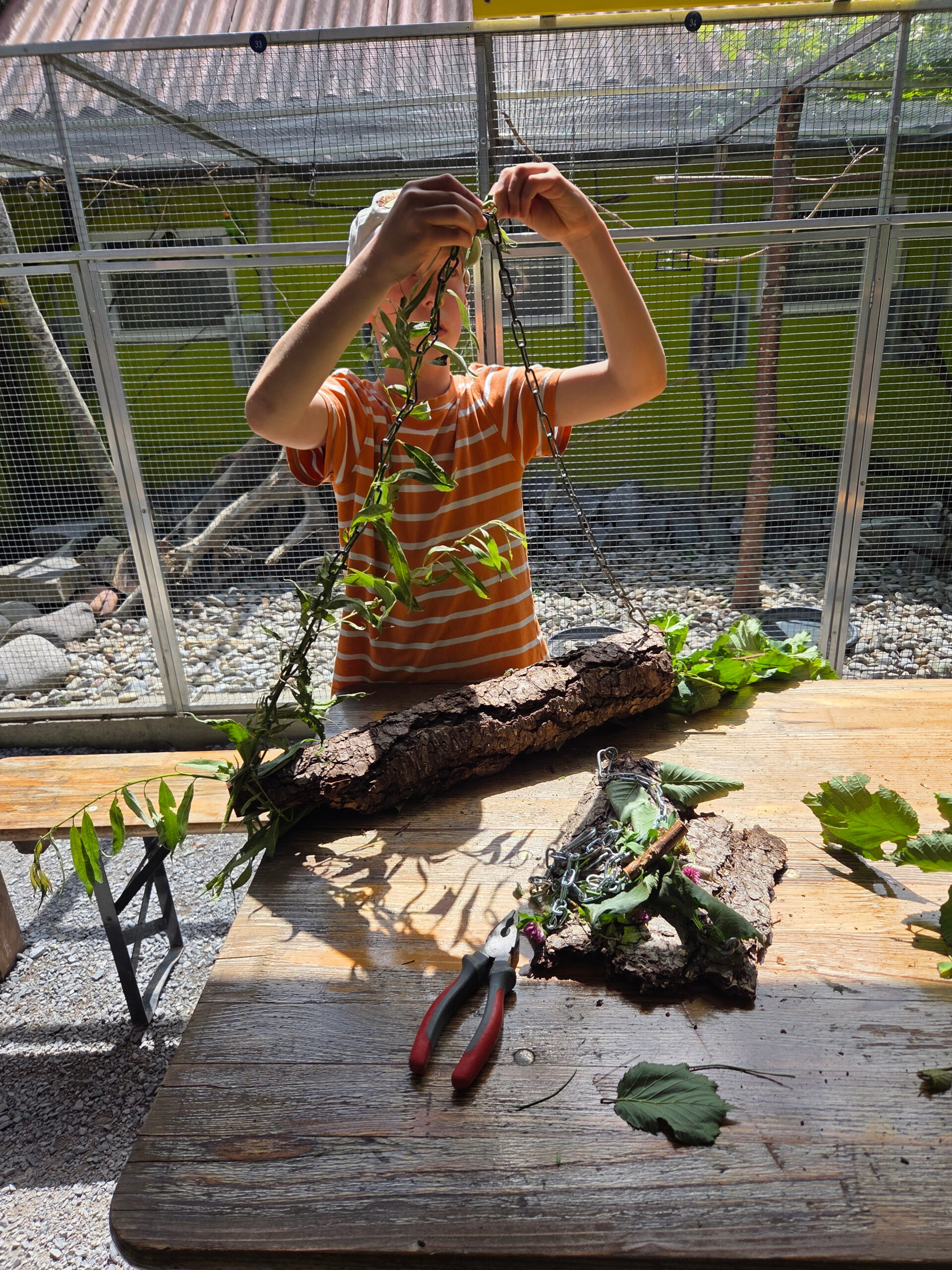 Kinder- & Jugendworkshop